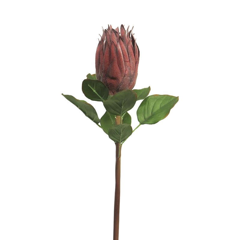 PROTEA ΤΕΧΝΗΤΟ ΛΟΥΛΟΥΔΙ ΚΟΚΚΙΝΟ H58cm