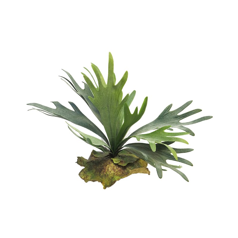PLATYCERIUM ΤΕΧΝΗΤΟ ΛΟΥΛΟΥΔΙ ΠΡΑΣΙΝΟ H27cm