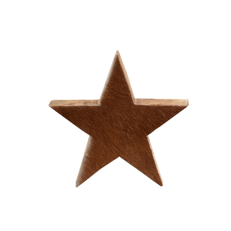 XMAS PEUPLE ΔΕΝΤΡΟ ΚΑΦΕ 14x4xH14cm