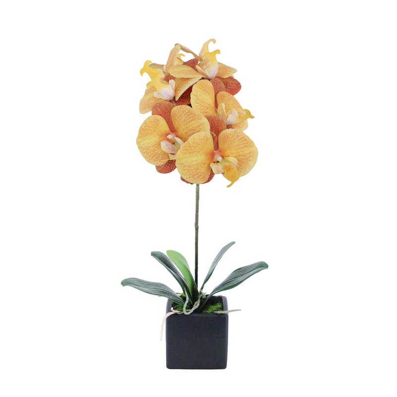 ORCHIDEA ΛΟΥΛΟΥΔΙ ΤΕΧΝΗΤΟ ΣΕ ΓΛΑΣΤΡΑ PEVA ΚΕΡΑΜΙΚΟ ΚΙΤΡΙΝΟ ΠΟΡΤΟΚΑΛΙ H63cm