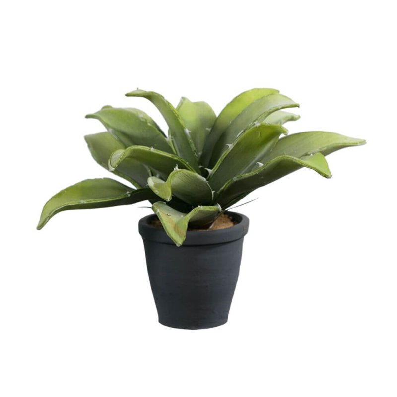 ALOE 1 ΤΕΧΝΗΤΟ ΦΥΤΟ EVA FOAM ΚΕΡΑΜΙΚΟ ΠΡΑΣΙΝΟ ΜΑΥΡΟ H26cm